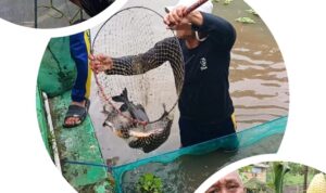 IMG-20260213-WA0176(1)