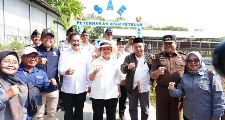 IMG-20260621-WA0166