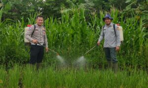IMG-20260622-WA0095